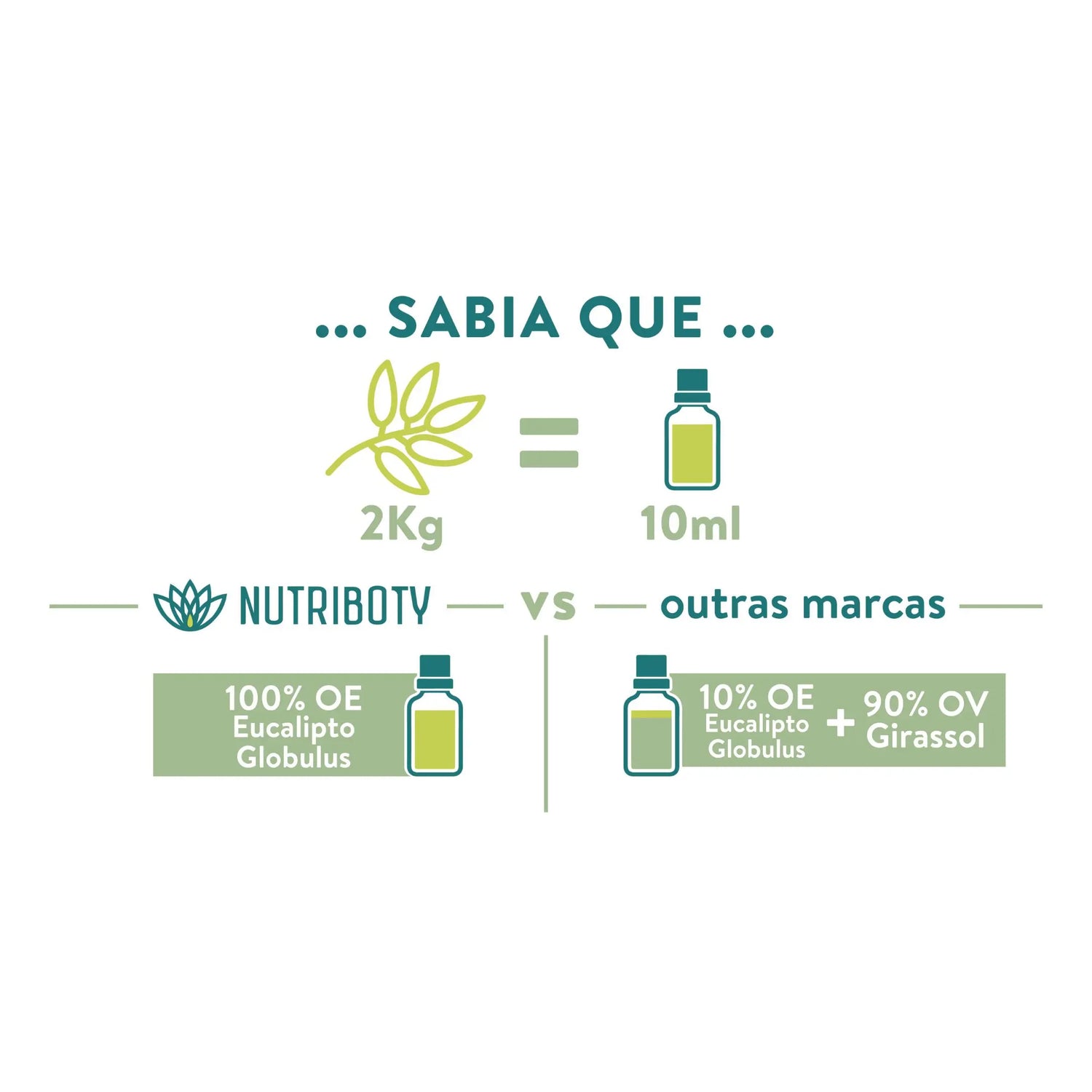 O Eucalipto Globulus é das espécies mais conhecidas pelo seu efeito no sistema respiratório. Apresenta propriedades expectorantes, descongestionantes e anti-inflamatórias cruciais para manter as suas vias respiratórias sempre desobstruídas e saudáveis.