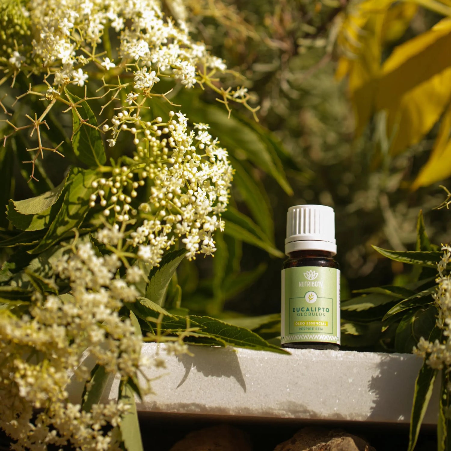 Crie um ambiente relaxante e aromático em casa com óleos essenciais 100% naturais. Transforme sua decoração com fragrâncias puras e desfrute de um refúgio tranquilo. Ambientador perfume de ambiente aromatizador sem químicos nocivos ao ambiente e à saúde.