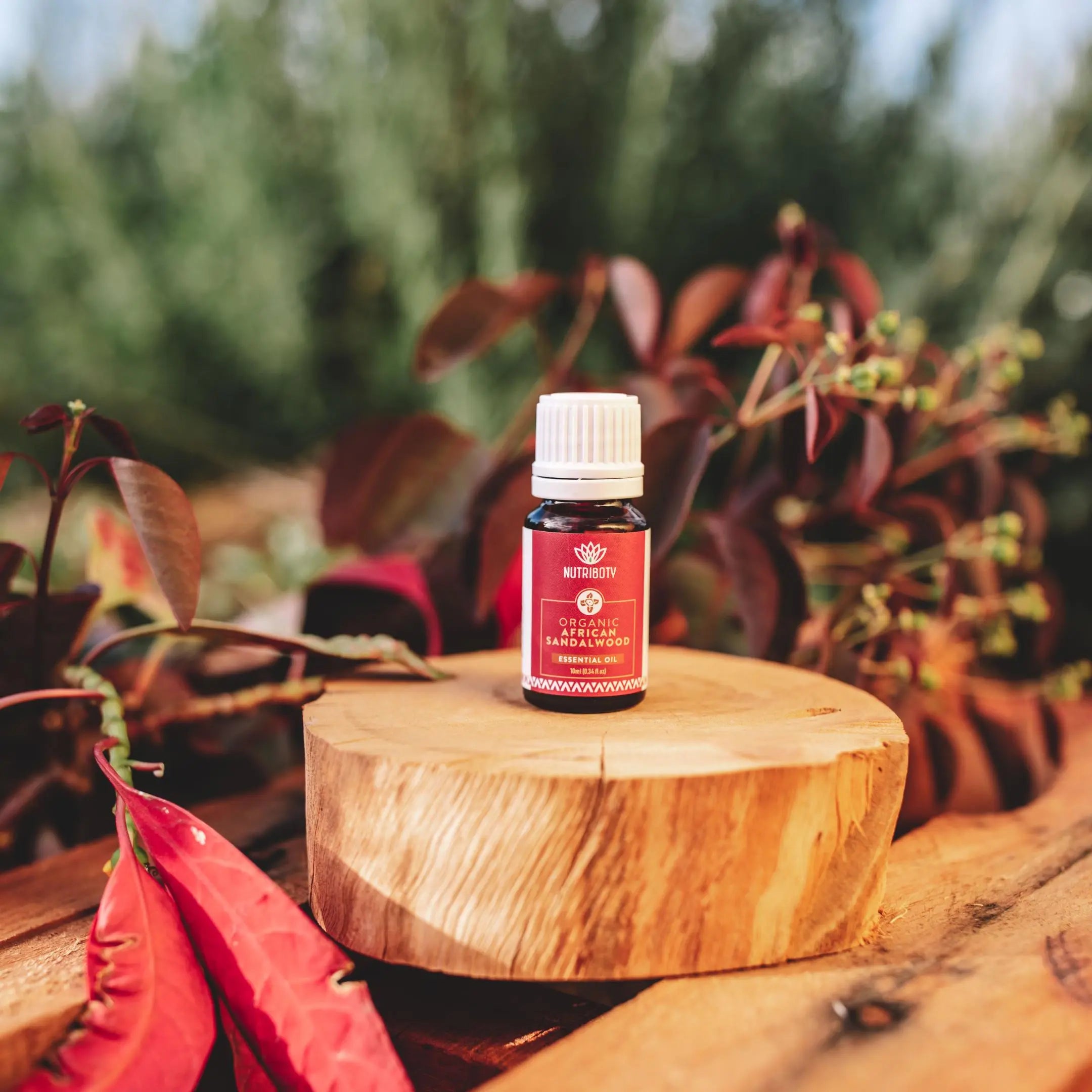 O Sândalo Africano apresenta propriedades relaxantes, ajudando em práticas espirituais como a meditação, o ioga e o reiki. Liberta a mente de pensamentos indesejados e promove energia positiva. É ideal para alimentar o espírito!