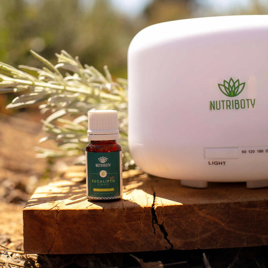 Existem mais de 2500 espécies de mosquitos em todo o mundo, embora a maioria viva das plantas e frutos, não afetando seres humanos. Apenas as fêmeas de 6% das espécies deste inseto incomodam as pessoas, sugando o seu sangue de forma a desenvolver os seus ovos.  Benefícios  Com propriedades antibacterianas, antissépticas e repelentes, o Eucalipto Limão afasta os insetos num ápice! Adeus mosquitos, moscas, melgas e traças!