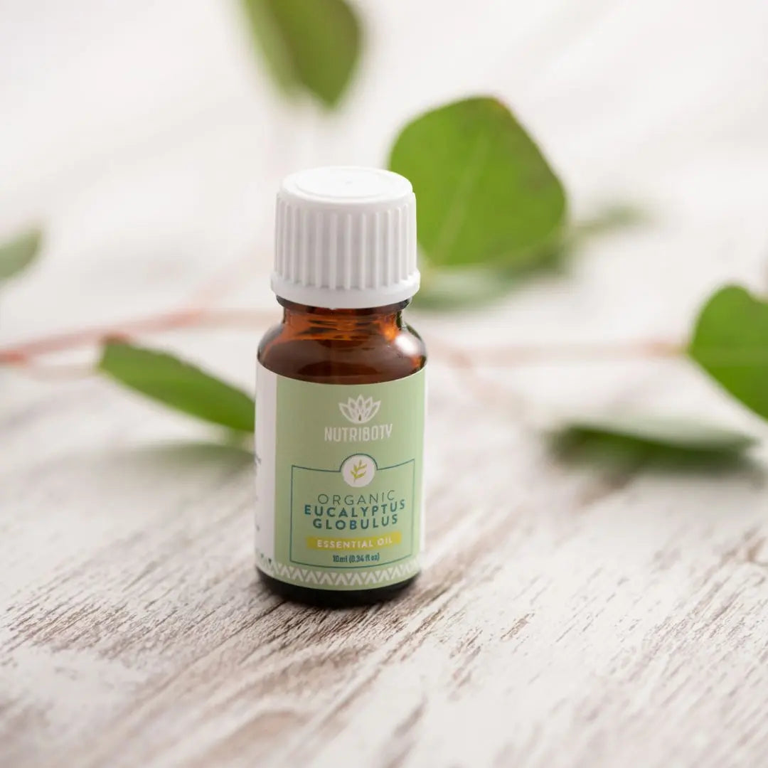 Eucalipto globulus da Nutriboty tem um aroma claro, fresco e complexo com propriedades descongestionantes e anti-inflamatórias. Modulador de humor. Revitaliza em estados de fadiga e relaxa, para nariz entupido e sinusite, catarro, dores musculares e de articulações.