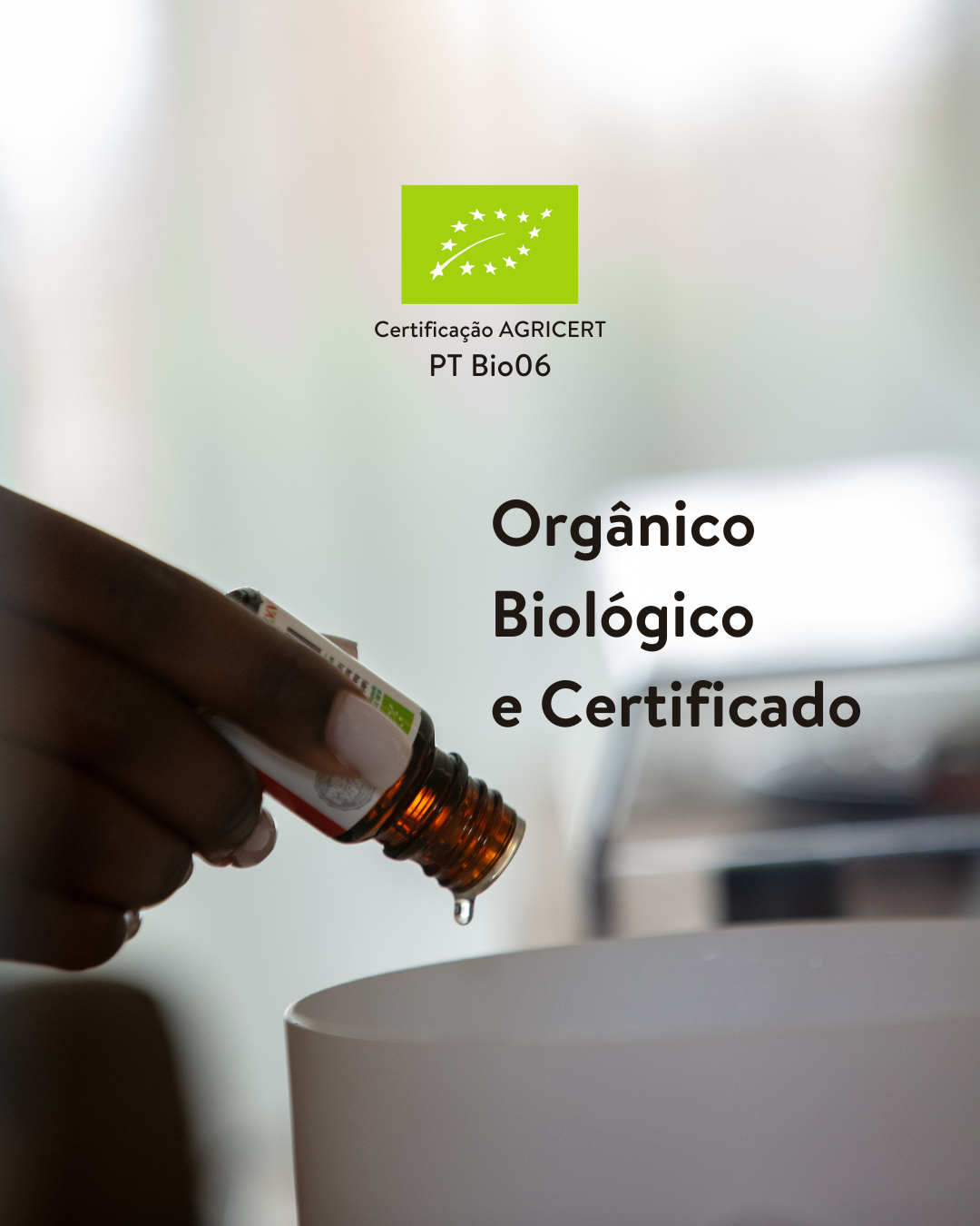 A Nutriboty nasceu do desejo de contribuir para o desenvolvimento rural de Angola de uma maneira sustentável, enaltecer os saberes e a riqueza natural da terra, enriquecer as comunidades locais e, por último, trazer mais saúde para todos, dentro e fora de Angola. Todas as matérias-primas da Nutriboty são colhidas à mão, garantindo uma seleção rigorosa e criteriosa das plantas e gerando valiosos postos de trabalho nos cantos mais recônditos de África!