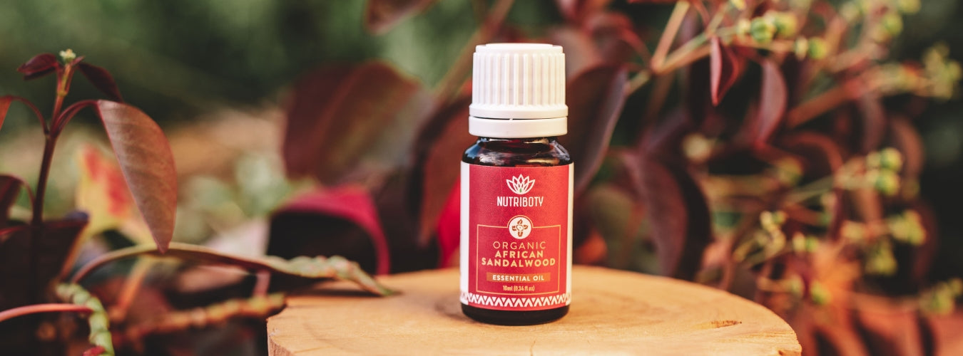Na nossa central de transformação, o Sândalo é transformado num óleo orgânico de altíssima qualidade, rigorosamente monitorizado através de múltiplos testes científicos. Use com difusor de aroma, aromatizador, vaporizador, humidificador.