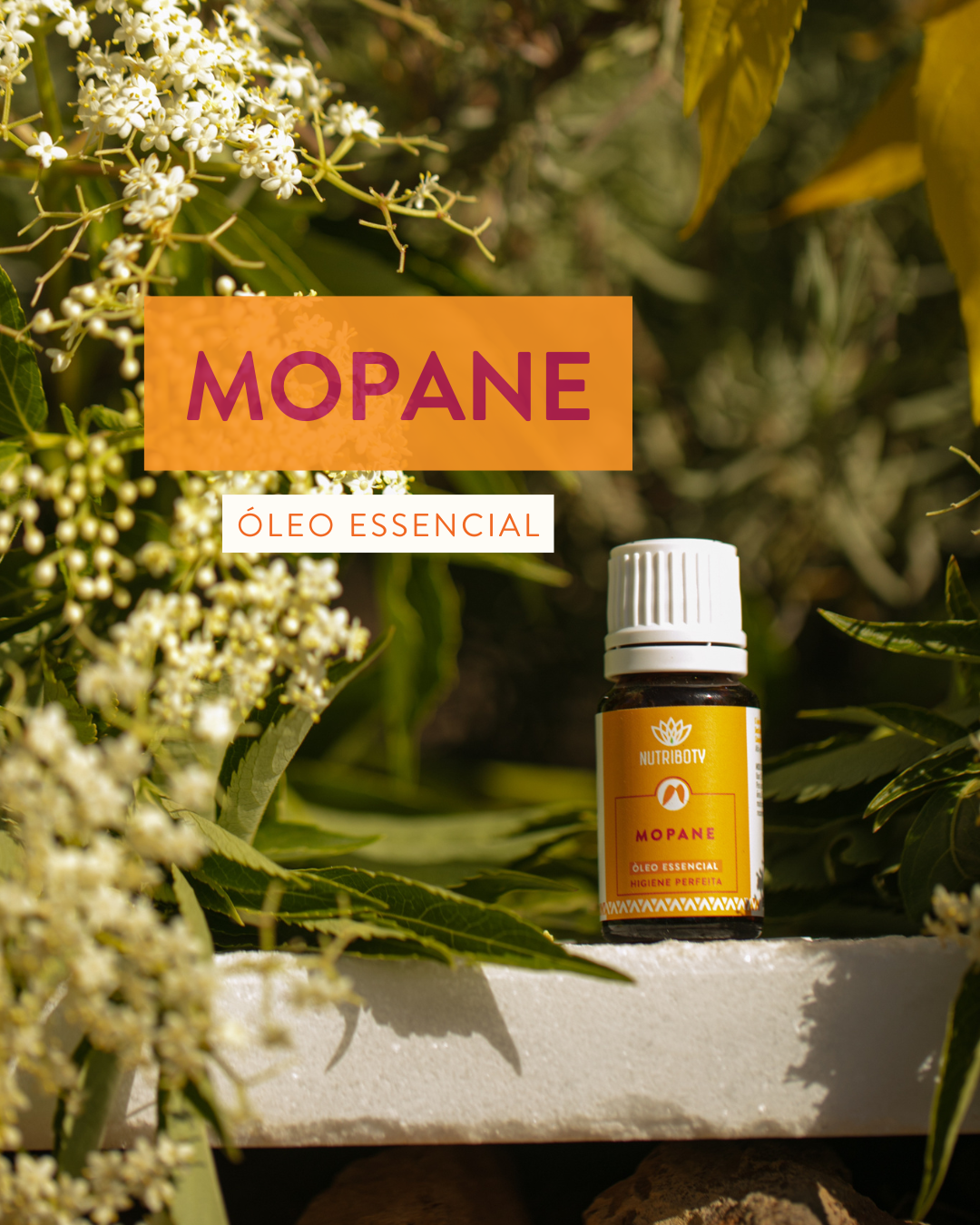 Óleo Essencial de Mopane - Comichão vaginal - O óleo de mopane ajuda a combater infeções como a candidíase, aliviando a comichão e a irritação; Feridas infetadas - Este óleo ajuda a desinfetar e limpar feridas, prevenindo infeções bacterianas e acelerando a cicatrização.