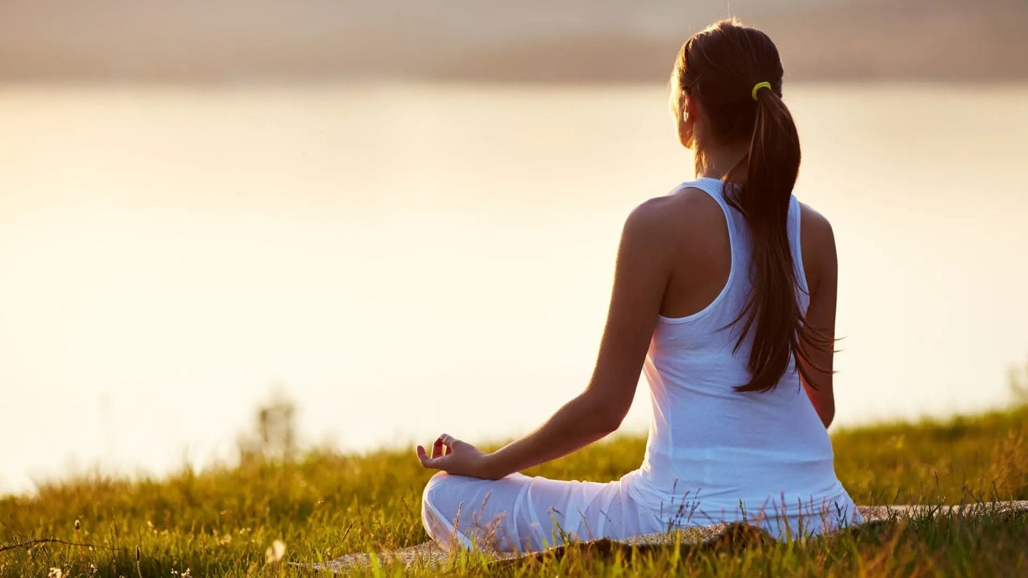 Seja na meditação guiada, na prática de yoga ou na criação de um ambiente zen, os óleos essenciais são absolutamente fundamentais para harmonizar mente e corpo 🧘🏽‍♀️