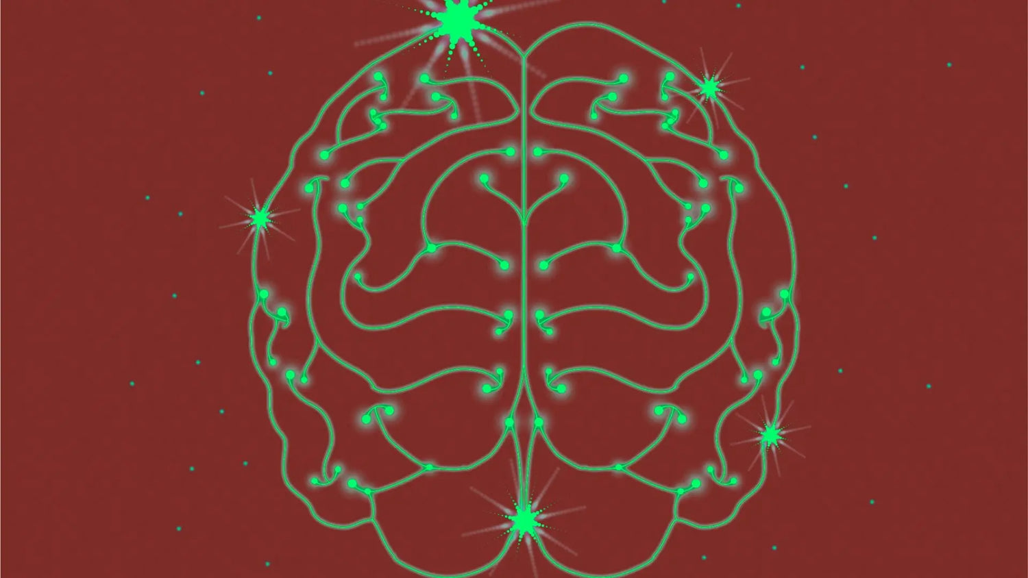 A EPILEPSIA E A AROMATERAPIA | Os óleos essenciais a experimentar ou a evitar