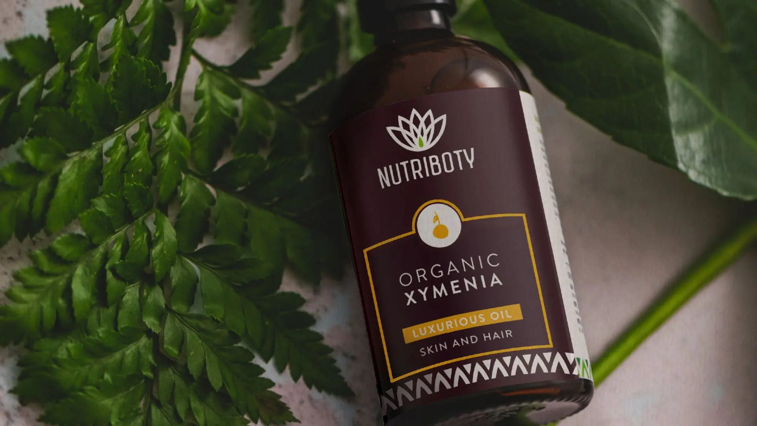 ÓLEOS VEGETAIS | A história e ciência por detrás do Óleo de Ximénia/Mompeque da Nutriboty