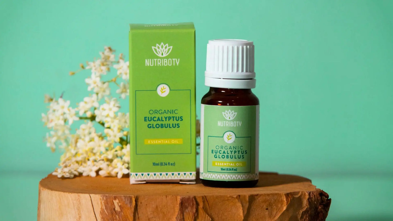 EUCALIPTO GLOBULUS | O seu aliado contra a acne