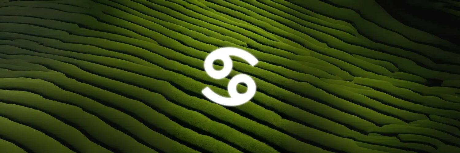 Aromaterapia e Astrologia | O Signo de Caranguejo