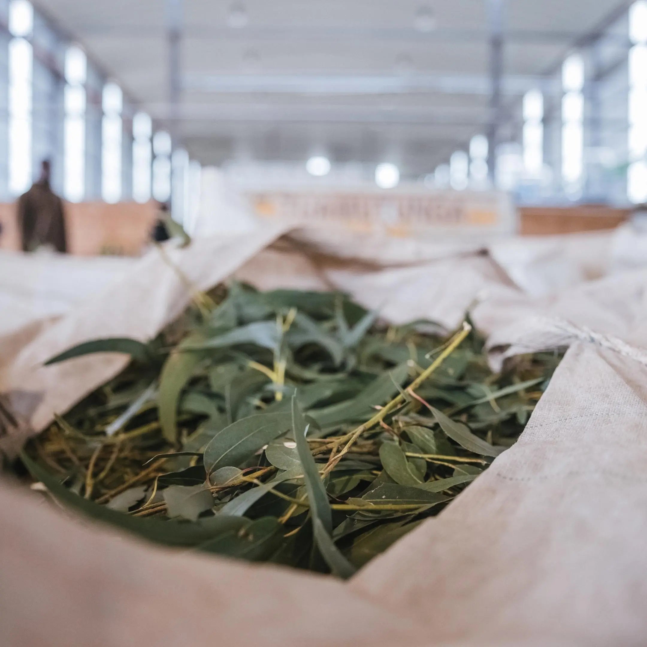 Crie um ambiente relaxante e aromático em casa com óleos essenciais 100% naturais. Transforme sua decoração com fragrâncias puras e desfrute de um refúgio tranquilo. Ambientador perfume de ambiente aromatizador sem químicos nocivos ao ambiente e à saúde.