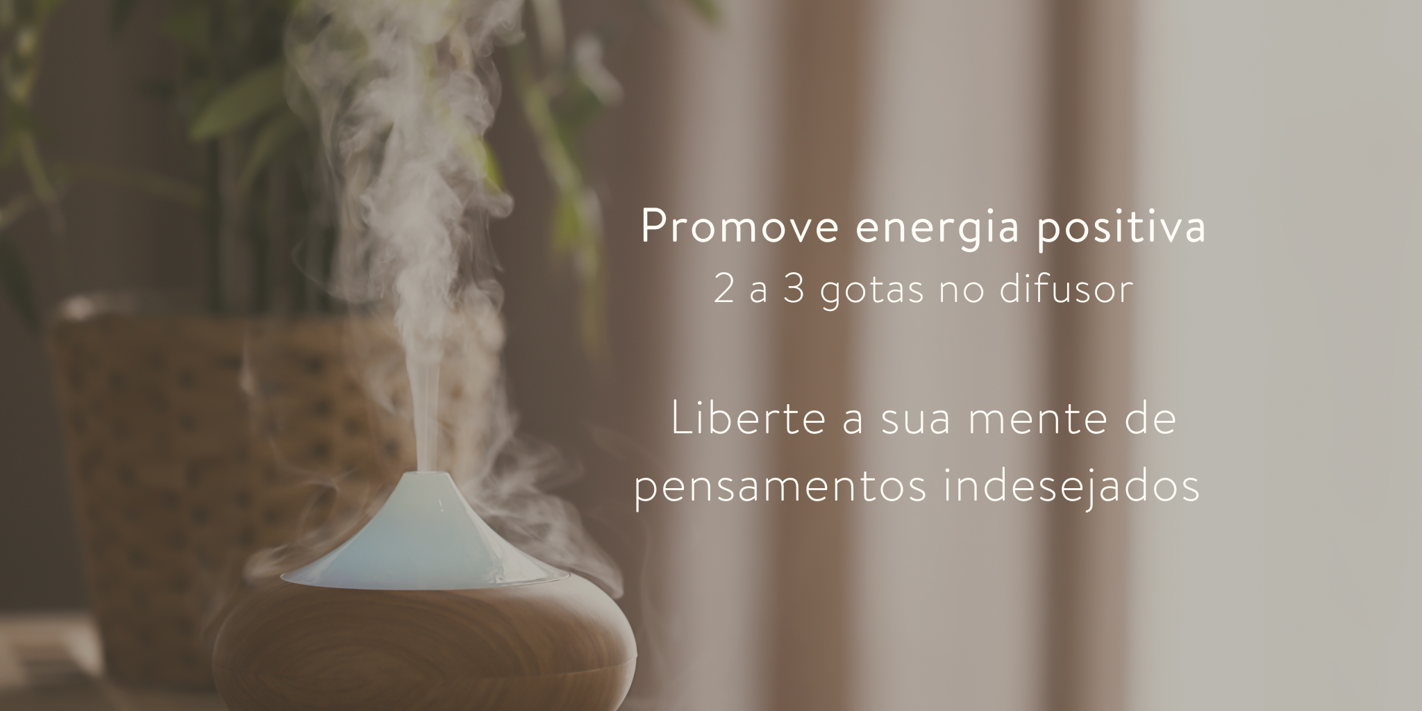 100% biológico, puro e certificado pela Agricert, este óleo é obtido através da destilação a vapor da planta Spirostachys africana. Na sua composição, destacam-se os seguintes elementos químicos: 
Gleenol: 2-13%
Brachylaenalone: 2-12%
Ylanglenol: 7-9%
Alfa-amorfeno: 2-6%