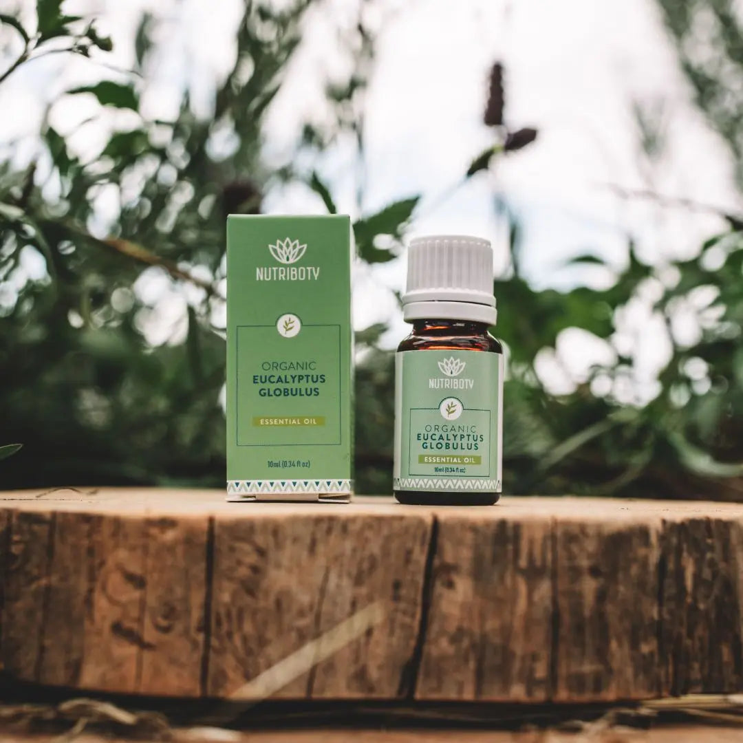 Eucalipto globulus da Nutriboty tem um aroma claro, fresco e complexo com propriedades descongestionantes e anti-inflamatórias. Modulador de humor. Revitaliza em estados de fadiga e relaxa, para nariz entupido e sinusite, catarro, dores musculares e de articulações.