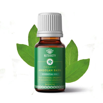 100% biológico, puro e certificado, este óleo é obtido através da destilação a vapor da planta Ocimum kilimandscharicum.  Na sua composição, destacam-se os seguintes elementos químicos:  Cânfora: 35-55% Limoneno:  5-20% Germacreno D: 4.9%