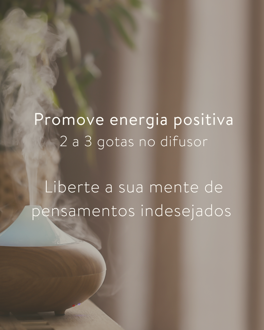 100% biológico, puro e certificado pela Agricert, este óleo é obtido através da destilação a vapor da planta Spirostachys africana. Na sua composição, destacam-se os seguintes elementos químicos: 
Gleenol: 2-13%
Brachylaenalone: 2-12%
Ylanglenol: 7-9%
Alfa-amorfeno: 2-6%
