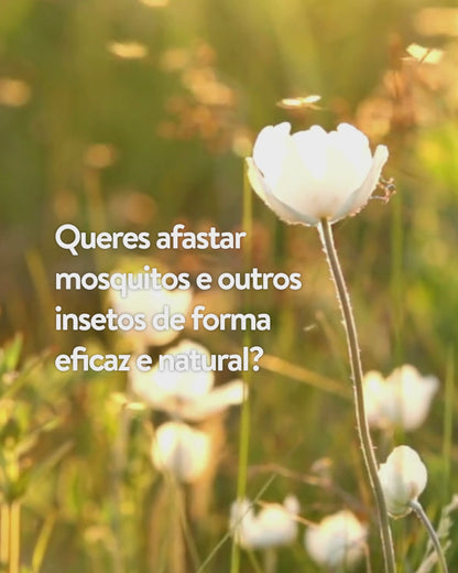 Vem aí o verão mas, com ele, vêm também os mosquitos 😩  O Combo Repellent da Nutriboty é crucial para manteres os insetos bem longe! Inclui o nosso elegante difusor e o óleo essencial de eucalipto limão, que, com um aroma alimonado, não só refresca o ambiente mas ajuda também a evitar as malditas picadas.  E, ao comprares este fantástico combo ao invés dos produtos individuais, ainda usufruis de um desconto de 15%!